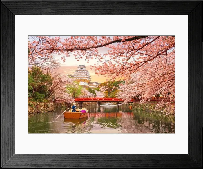 Framed Print : Himeji, Japan at Himeji Castle moat in spring season Framed Print : Himeji, Japan at Himeji Castle moat in spring season
