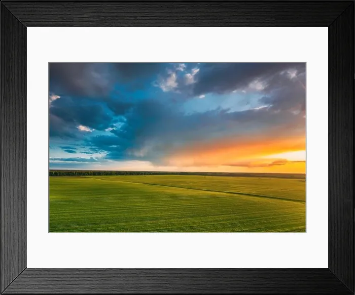 Framed Print : Aerial View Countryside Rural Green Field Landscape With Young Wheat Sprouts In Spring Summer Sunset. Agricultural Field. Young Wheat Shoots Framed Print : Aerial View Countryside Rural Green Field Landscape With Young Wheat Sprouts In Spring Summer Sunset. Agricultural Field. Young Wheat Shoots
