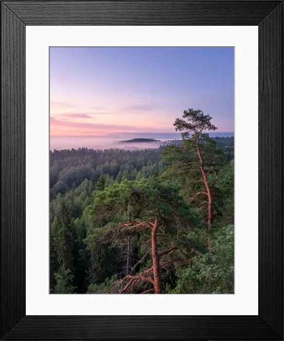Framed Print : Scenic foggy landscape with mood forest at summer morning at National park, Finland. High angle aerial view Framed Print : Scenic foggy landscape with mood forest at summer morning at National park, Finland. High angle aerial view