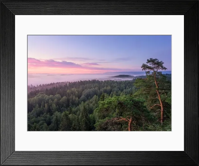 Framed Print : Scenic foggy landscape with mood forest at summer morning at National park, Finland. High angle aerial view Framed Print : Scenic foggy landscape with mood forest at summer morning at National park, Finland. High angle aerial view