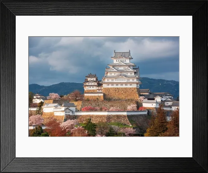 Framed Print : Himeji, Japan at Himeji Castle during spring cherry blossom season in the day Framed Print : Himeji, Japan at Himeji Castle during spring cherry blossom season in the day