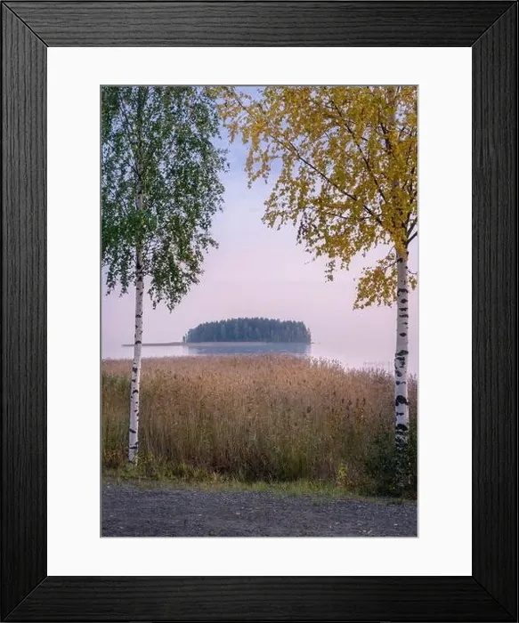Framed Print : Calm autumn evening landscape with fall color birch trees and tranquil lake in Finland Framed Print : Calm autumn evening landscape with fall color birch trees and tranquil lake in Finland