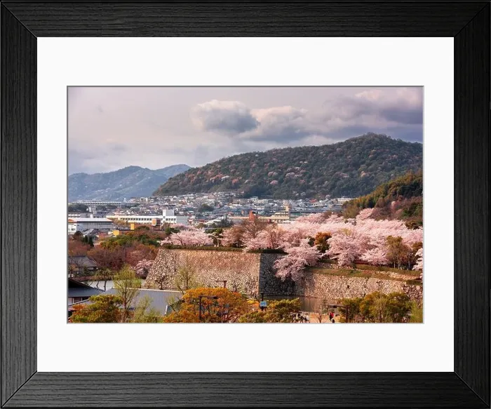 Framed Print : Himeji, Japan at Himeji Castle outer wall during spring cherry blossom season in the day Framed Print : Himeji, Japan at Himeji Castle outer wall during spring cherry blossom season in the day