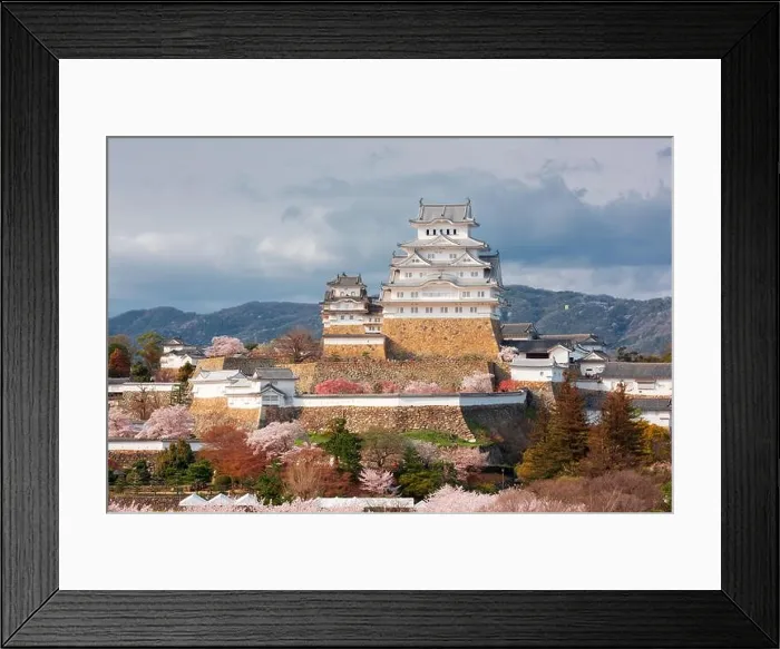 Framed Print : Himeji, Japan at Himeji Castle during spring cherry blossom season in the day Framed Print : Himeji, Japan at Himeji Castle during spring cherry blossom season in the day