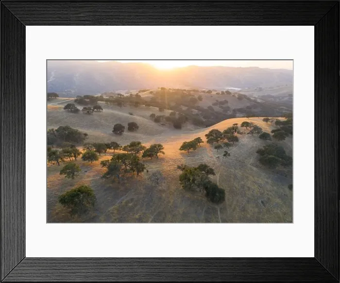 Framed Print : Evening sunlight shines on the rolling hills in Northern California. These beautiful, golden hills turn green once winter brings seasonal rains Framed Print : Evening sunlight shines on the rolling hills in Northern California. These beautiful, golden hills turn green once winter brings seasonal rains