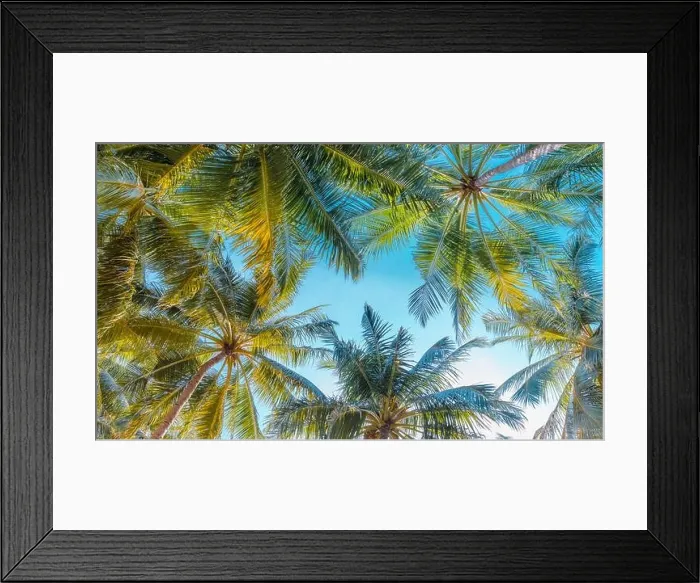 Framed Print : Tropical palm tree with sunlight on blue sky as tropical nature abstract background. Summer vacation and nature travel adventure exotic jungle pattern Framed Print : Tropical palm tree with sunlight on blue sky as tropical nature abstract background. Summer vacation and nature travel adventure exotic jungle pattern