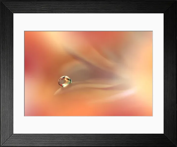 Framed Print : Yellow and Orange Background.Fantasy Art.Creative Wallpaper.Beautiful Nature Background.Amazing Spring Flower.Water Drop.Copy Space.Abstract Macro Framed Print : Yellow and Orange Background.Fantasy Art.Creative Wallpaper.Beautiful Nature Background.Amazing Spring Flower.Water Drop.Copy Space.Abstract Macro