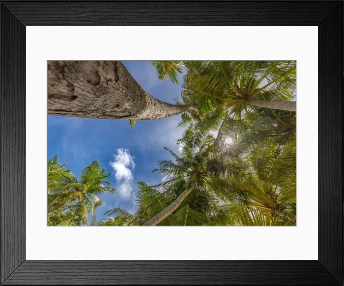 Framed Print : Tropical nature pattern, beautiful coconut palm tree on blue sky, looking up