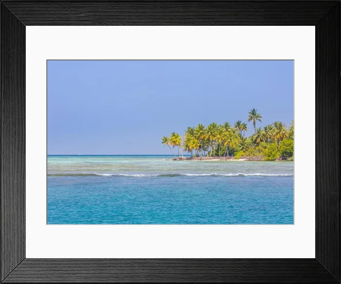 Framed Print : Tropical island beach. Palm trees near blue sea, tranquil nature concept. Exotic beach scenery Framed Print : Tropical island beach. Palm trees near blue sea, tranquil nature concept. Exotic beach scenery
