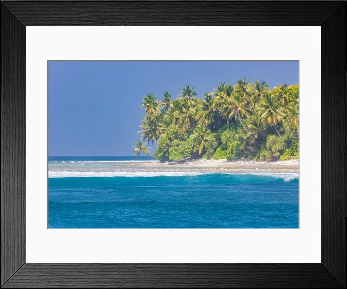 Framed Print : Tropical island beach. Palm trees near blue sea, tranquil nature concept. Exotic beach scenery Framed Print : Tropical island beach. Palm trees near blue sea, tranquil nature concept. Exotic beach scenery