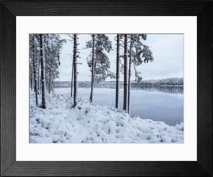Framed Print : Winter landscape with frosty trees and peaceful lake at evening in Finland Framed Print : Winter landscape with frosty trees and peaceful lake at evening in Finland