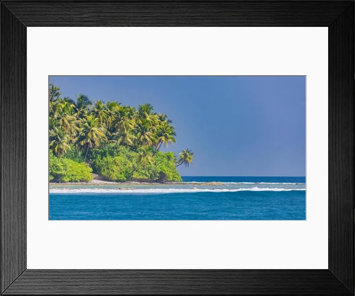 Framed Print : Tropical island beach. Palm trees near blue sea, tranquil nature concept. Exotic beach scenery Framed Print : Tropical island beach. Palm trees near blue sea, tranquil nature concept. Exotic beach scenery