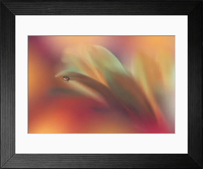 Framed Print : Beautiful Nature Background.Floral Art Design.Abstract Macro Photography.Yellow Daisy Flower.Pastel Flowers.Golden Background.Creative Artistic Drop Framed Print : Beautiful Nature Background.Floral Art Design.Abstract Macro Photography.Yellow Daisy Flower.Pastel Flowers.Golden Background.Creative Artistic Drop