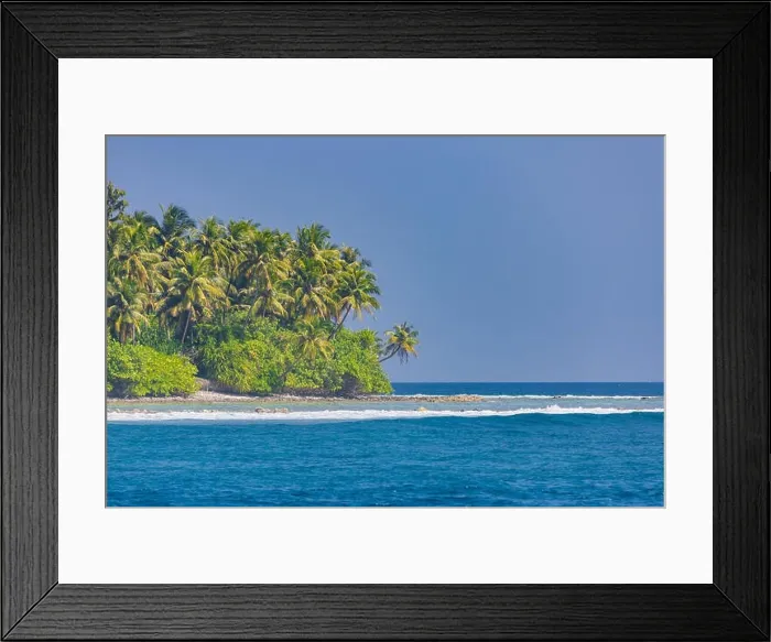 Framed Print : Tropical island beach. Palm trees near blue sea, tranquil nature concept. Exotic beach scenery Framed Print : Tropical island beach. Palm trees near blue sea, tranquil nature concept. Exotic beach scenery