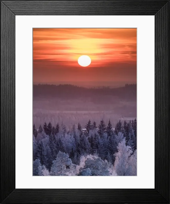 Framed Print : Winter landscape with frosty trees and beautiful sunset at evening time in Finland