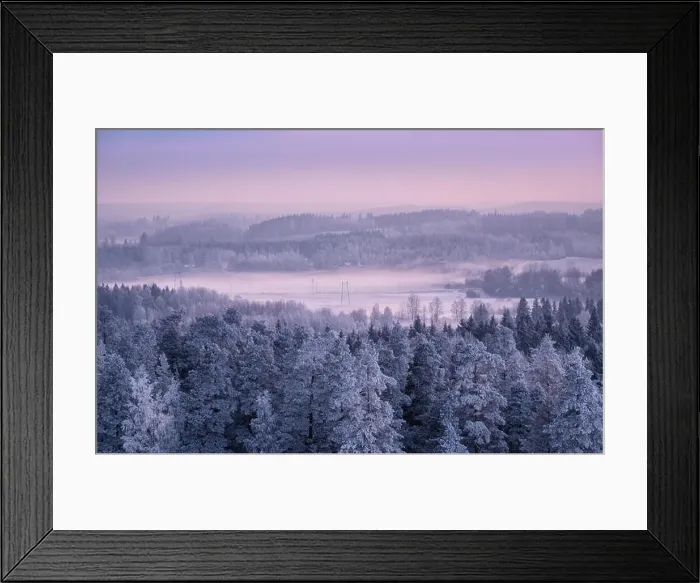 Framed Print : Winter landscape with frosty trees and foggy mood at evening light in Finland Framed Print : Winter landscape with frosty trees and foggy mood at evening light in Finland