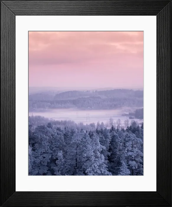Framed Print : Winter landscape with frosty trees and foggy mood at evening light in Finland Framed Print : Winter landscape with frosty trees and foggy mood at evening light in Finland