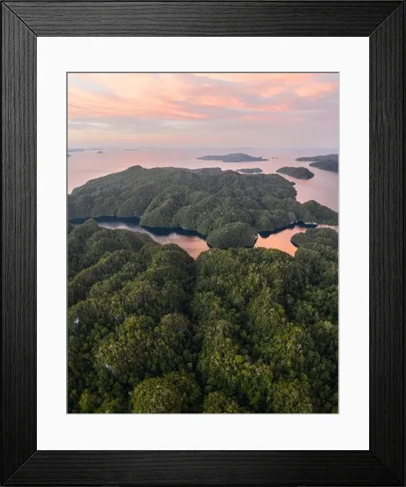 Framed Print : Beautiful coral reefs fringe remote limestone islands in Raja Ampat, Indonesia. The reefs here are home to the world's greatest marine biodiversity Framed Print : Beautiful coral reefs fringe remote limestone islands in Raja Ampat, Indonesia. The reefs here are home to the world's greatest marine biodiversity