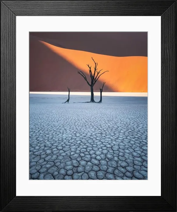 Framed Print : Dead Camelthorn Trees at sunrise, Deadvlei, Namib-Naukluft National Park, Namibia, Africa. Dried trees in Namib desert. Landscape photography Framed Print : Dead Camelthorn Trees at sunrise, Deadvlei, Namib-Naukluft National Park, Namibia, Africa. Dried trees in Namib desert. Landscape photography