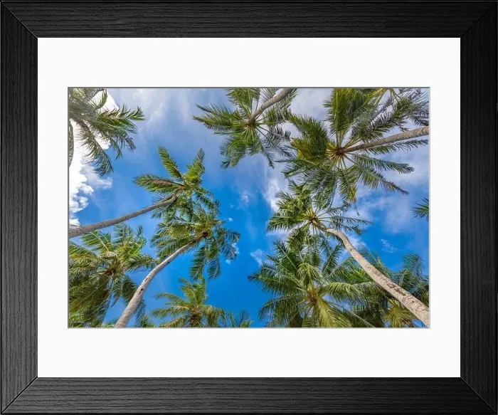 Framed Print : Paradise sunny beach with palm tree leaves, trunk under blue sky. Summer vacation and tropical beach concept, looking up, positive thinking Framed Print : Paradise sunny beach with palm tree leaves, trunk under blue sky. Summer vacation and tropical beach concept, looking up, positive thinking