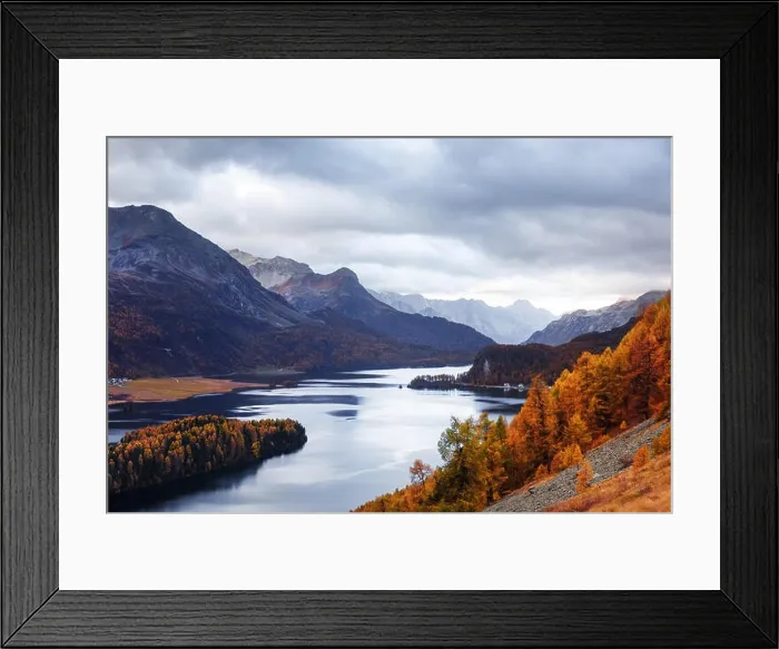 Framed Print : Aerial view on autumn lake Sils (Silsersee) in Swiss Alps. Colorful forest with orange larch and snowy mountains on background. Switzerland Framed Print : Aerial view on autumn lake Sils (Silsersee) in Swiss Alps. Colorful forest with orange larch and snowy mountains on background. Switzerland
