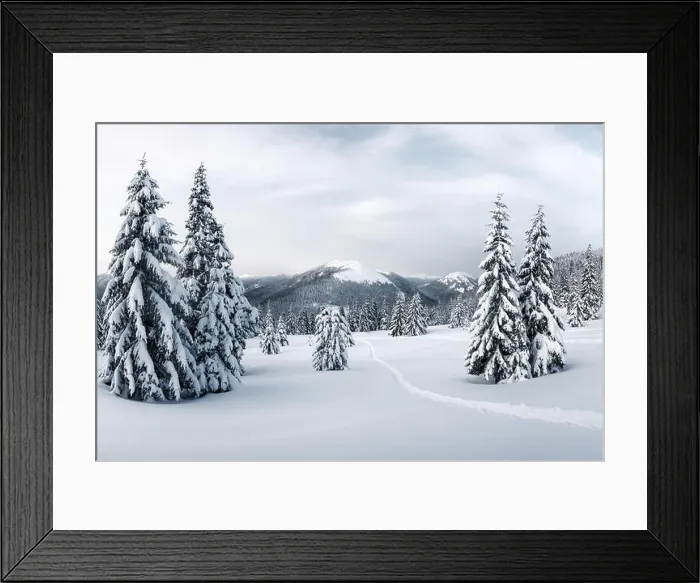 Framed Print : Fantastic winter landscape with snowy trees. Carpathian mountains, Ukraine, Europe. Christmas holiday concept Framed Print : Fantastic winter landscape with snowy trees. Carpathian mountains, Ukraine, Europe. Christmas holiday concept