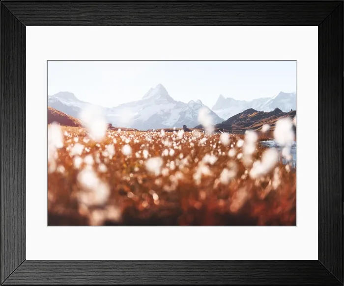Framed Print : Picturesque view on Bachalpsee lake in Swiss Alps mountains. Snowy peaks of Wetterhorn, Mittelhorn and Rosenhorn on background. Grindelwald valley Framed Print : Picturesque view on Bachalpsee lake in Swiss Alps mountains. Snowy peaks of Wetterhorn, Mittelhorn and Rosenhorn on background. Grindelwald valley