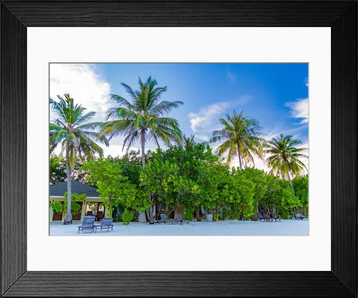 Framed Print : Gorgeous tropical sandy beach with palm trees, blue sky and clear water Framed Print : Gorgeous tropical sandy beach with palm trees, blue sky and clear water