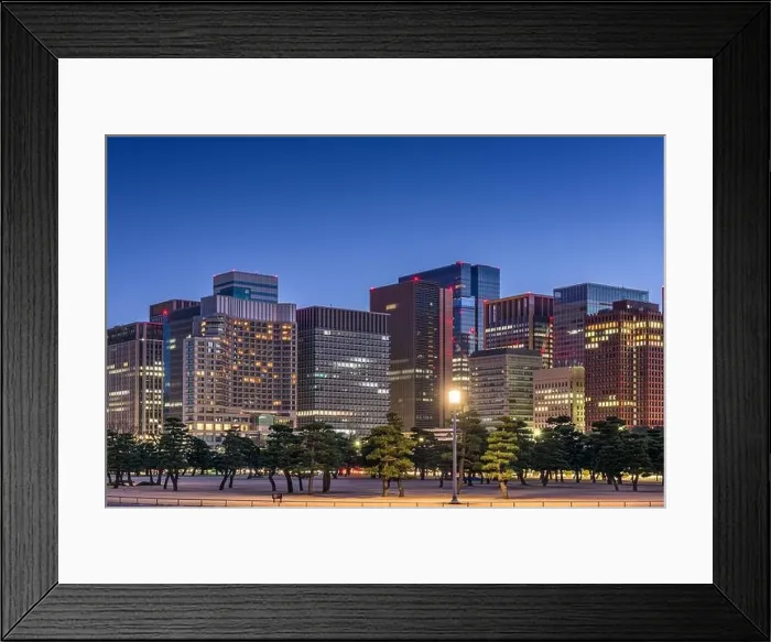 Framed Print : Modern Office Buildings and park in Tokyo, Japan Framed Print : Modern Office Buildings and park in Tokyo, Japan