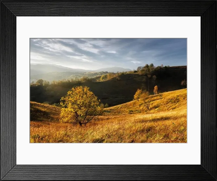 Framed Print : Picturesque autumn mountains with yellow grass and orange trees in the Carpathian mountains, Ukraine. Landscape photography