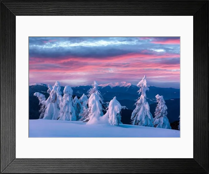 Framed Print : Fantastic winter landscape in snowy mountains glowing by morning sunlight. Dramatic wintry scene with frozen snowy trees at sunrise Framed Print : Fantastic winter landscape in snowy mountains glowing by morning sunlight. Dramatic wintry scene with frozen snowy trees at sunrise