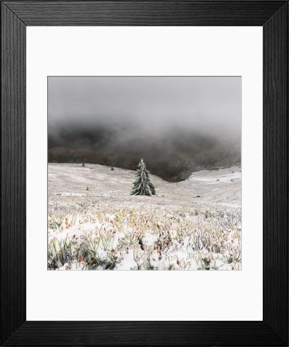 Framed Print : Fantastic winter landscape with snowy trees. Carpathian mountains, Ukraine, Europe. Christmas holiday background. Landscape photography Framed Print : Fantastic winter landscape with snowy trees. Carpathian mountains, Ukraine, Europe. Christmas holiday background. Landscape photography