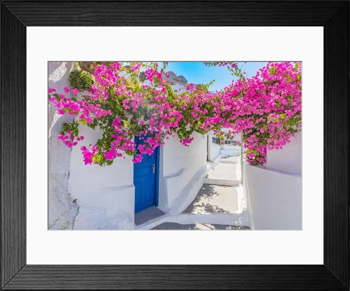 Framed Print : Romantic blue door with pink flowers, idyllic nature. Couple honeymoon destination, urban street banner. Santorini, Greece Framed Print : Romantic blue door with pink flowers, idyllic nature. Couple honeymoon destination, urban street banner. Santorini, Greece