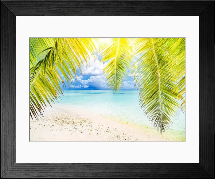 Framed Print : Palm and sea with sky. Tropical beach banner. Tranquil scenery, relaxing beach, tropical landscape design. Moody landscape Framed Print : Palm and sea with sky. Tropical beach banner. Tranquil scenery, relaxing beach, tropical landscape design. Moody landscape