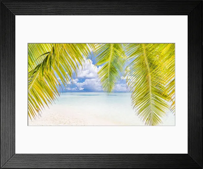 Framed Print : Palm and sea with sky. Tropical beach banner. Tranquil scenery, relaxing beach, tropical landscape design. Moody landscape Framed Print : Palm and sea with sky. Tropical beach banner. Tranquil scenery, relaxing beach, tropical landscape design. Moody landscape