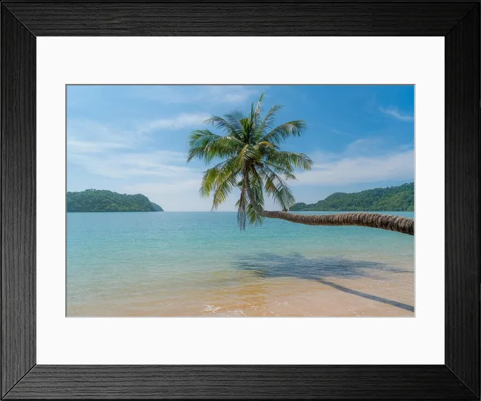 Framed Print : Coconut palm tree over summer beach sea in Phuket, Thailand. Summer, Travel, Vacation and Holiday concept Framed Print : Coconut palm tree over summer beach sea in Phuket, Thailand. Summer, Travel, Vacation and Holiday concept