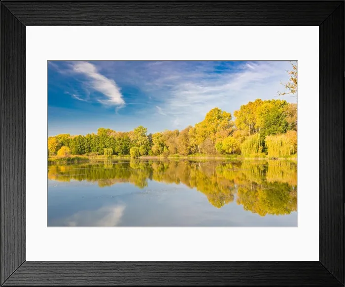Framed Print : Mirror lagoon rounded by mountains, beautiful autumn lake reflection, colorful tree leaves Framed Print : Mirror lagoon rounded by mountains, beautiful autumn lake reflection, colorful tree leaves