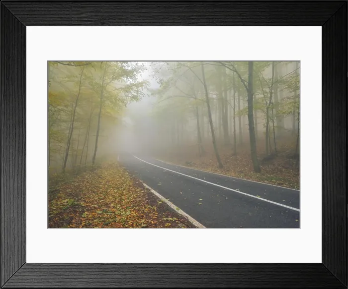 Framed Print : An asphalt road that goes through a misty dark misterious pine forest
