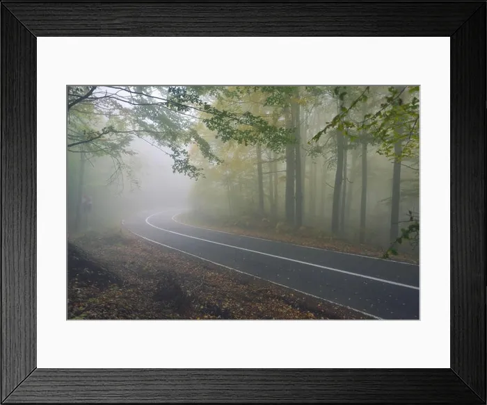 Framed Print : An asphalt road that goes through a misty dark misterious pine forest Framed Print : An asphalt road that goes through a misty dark misterious pine forest