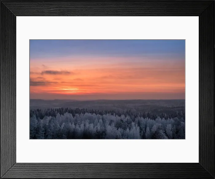 Framed Print : Scenic view with beautiful sunset and frosty tree at winter evening in Finland Framed Print : Scenic view with beautiful sunset and frosty tree at winter evening in Finland