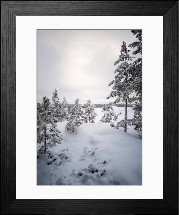 Framed Print : Scenic view with snow covered trees at winter evening in Finland Framed Print : Scenic view with snow covered trees at winter evening in Finland