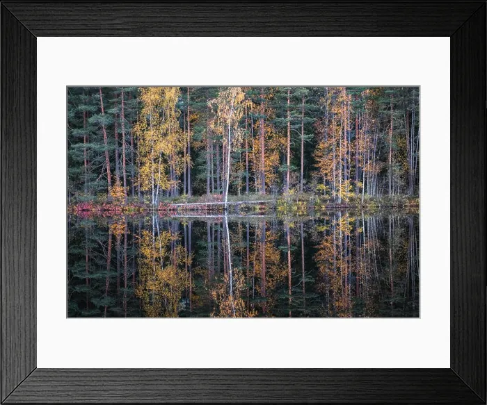 Framed Print : Beautiful water reflection view with fall colors and lake at autumn day in Finland Framed Print : Beautiful water reflection view with fall colors and lake at autumn day in Finland