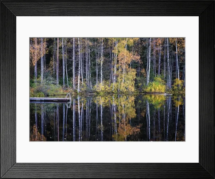 Framed Print : Beautiful water reflection view with fall colors and lake at autumn day in Finland Framed Print : Beautiful water reflection view with fall colors and lake at autumn day in Finland