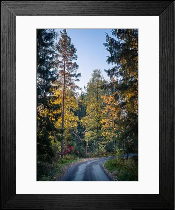 Framed Print : idyllic road landscape with fall colors and mood light at autumn morning in Finland Framed Print : idyllic road landscape with fall colors and mood light at autumn morning in Finland
