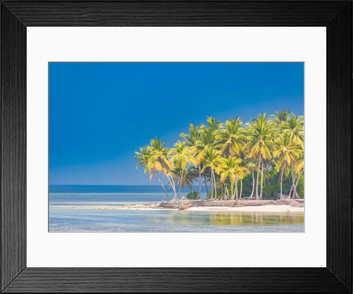 Framed Print : Tropical landscape, palm trees and blue sea. Idyllic beach landscape for banner concept of tropics. Exotic travel destination Framed Print : Tropical landscape, palm trees and blue sea. Idyllic beach landscape for banner concept of tropics. Exotic travel destination