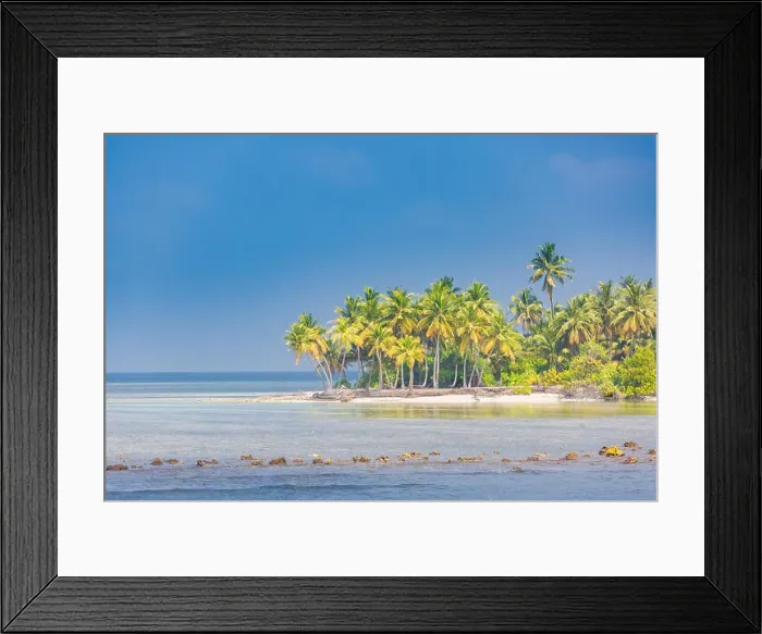Framed Print : Tropical landscape, palm trees and blue sea. Idyllic beach landscape for banner concept of tropics. Exotic travel destination Framed Print : Tropical landscape, palm trees and blue sea. Idyllic beach landscape for banner concept of tropics. Exotic travel destination