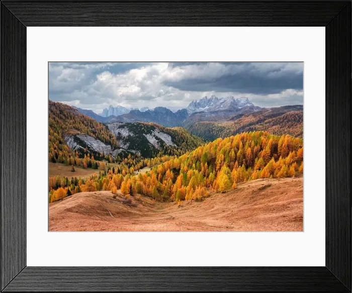 Framed Print : Incredible autumn view at Valfreda valley in Italian Dolomite Alps. Yellow grass, orange larches forest and snowy mountains peaks on background Framed Print : Incredible autumn view at Valfreda valley in Italian Dolomite Alps. Yellow grass, orange larches forest and snowy mountains peaks on background