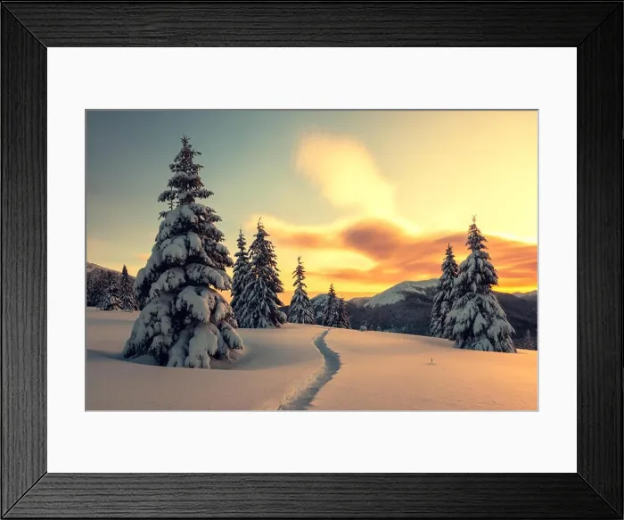 Framed Print : Dramatic wintry scene with snowy trees Framed Print : Dramatic wintry scene with snowy trees