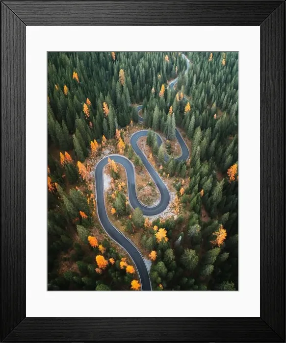 Framed Print : Top aerial view of famous Snake road near Passo Giau in Dolomite Alps. Winding mountains road in lush forest with orange larch trees Framed Print : Top aerial view of famous Snake road near Passo Giau in Dolomite Alps. Winding mountains road in lush forest with orange larch trees