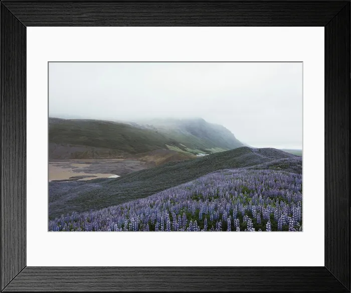 Framed Print : Typical Iceland landscape Framed Print : Typical Iceland landscape